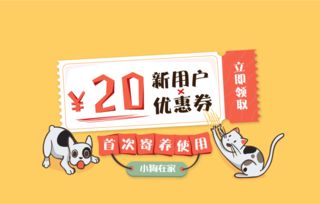 貓咪嫌地上濕直接路人腳上棲身，數字文化創意內容應用服務如何玩轉萌寵熱點